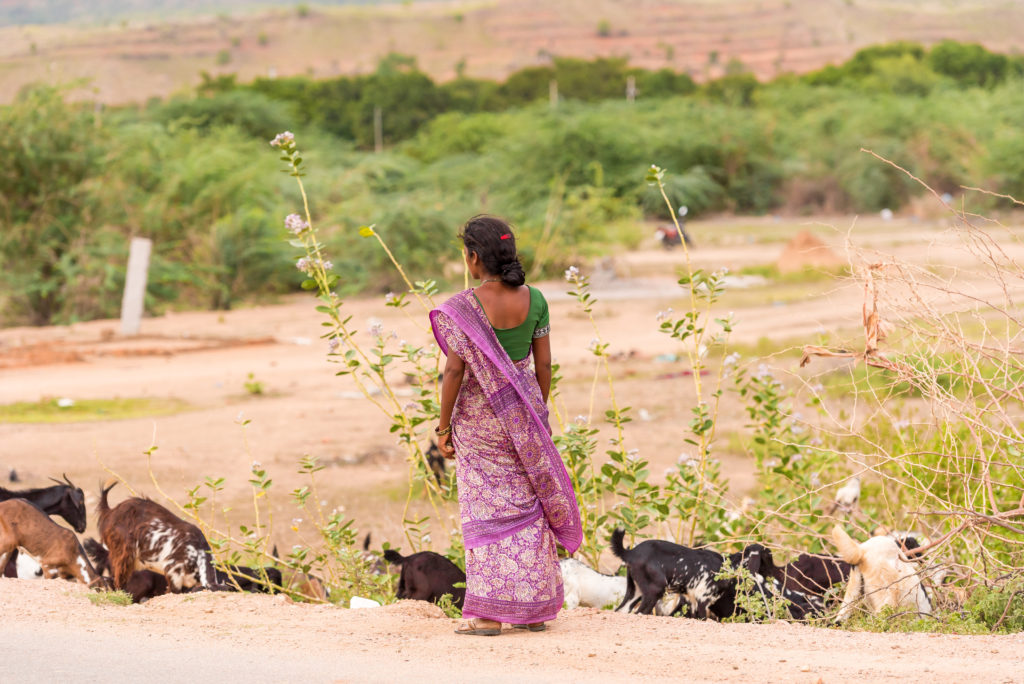 A Little Bit of Livestock. A Lot of New Possibilities.